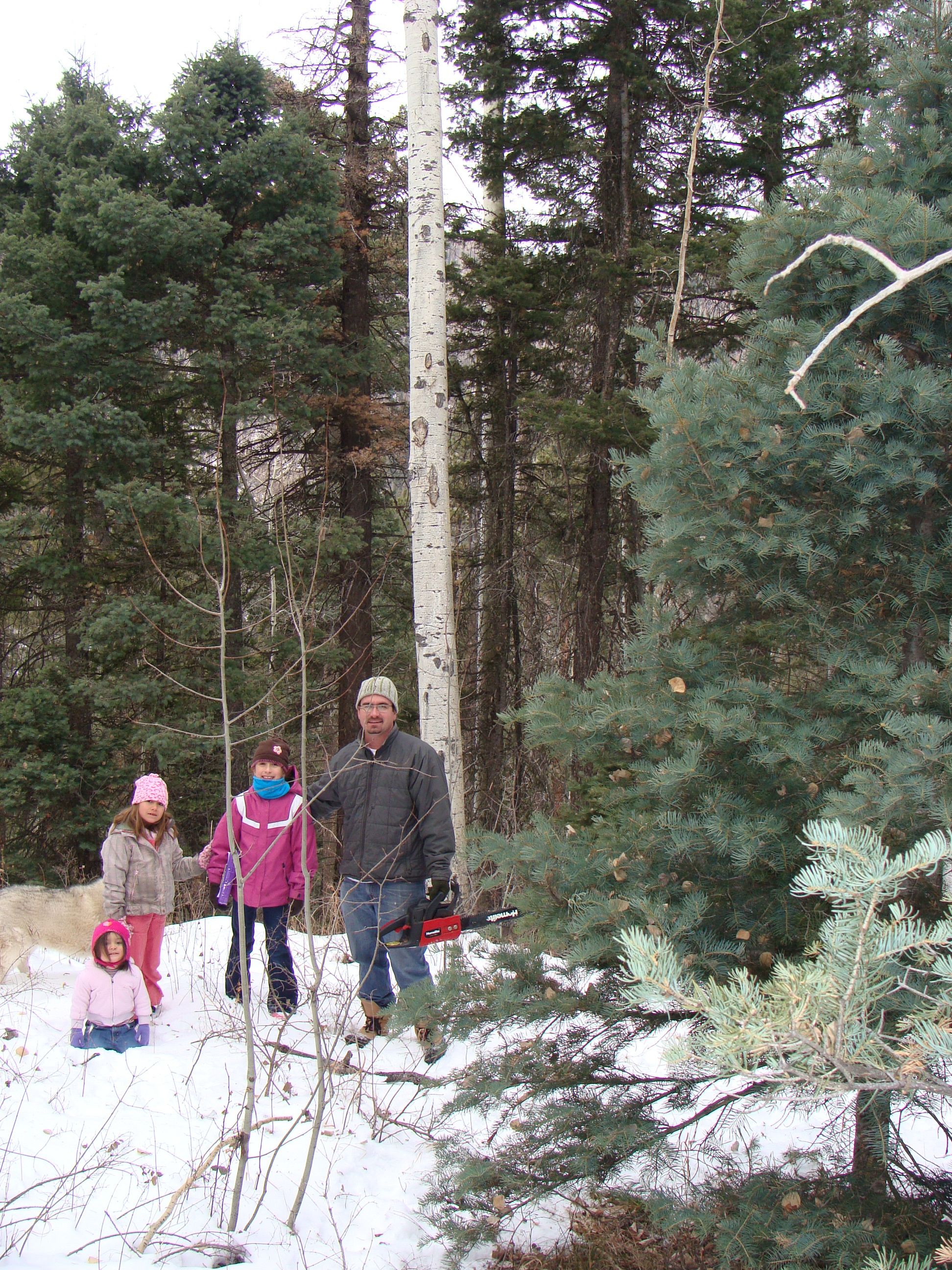 durangocmastree