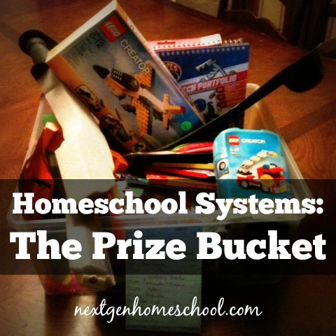 HomeschoolSystemsPrizeBucket