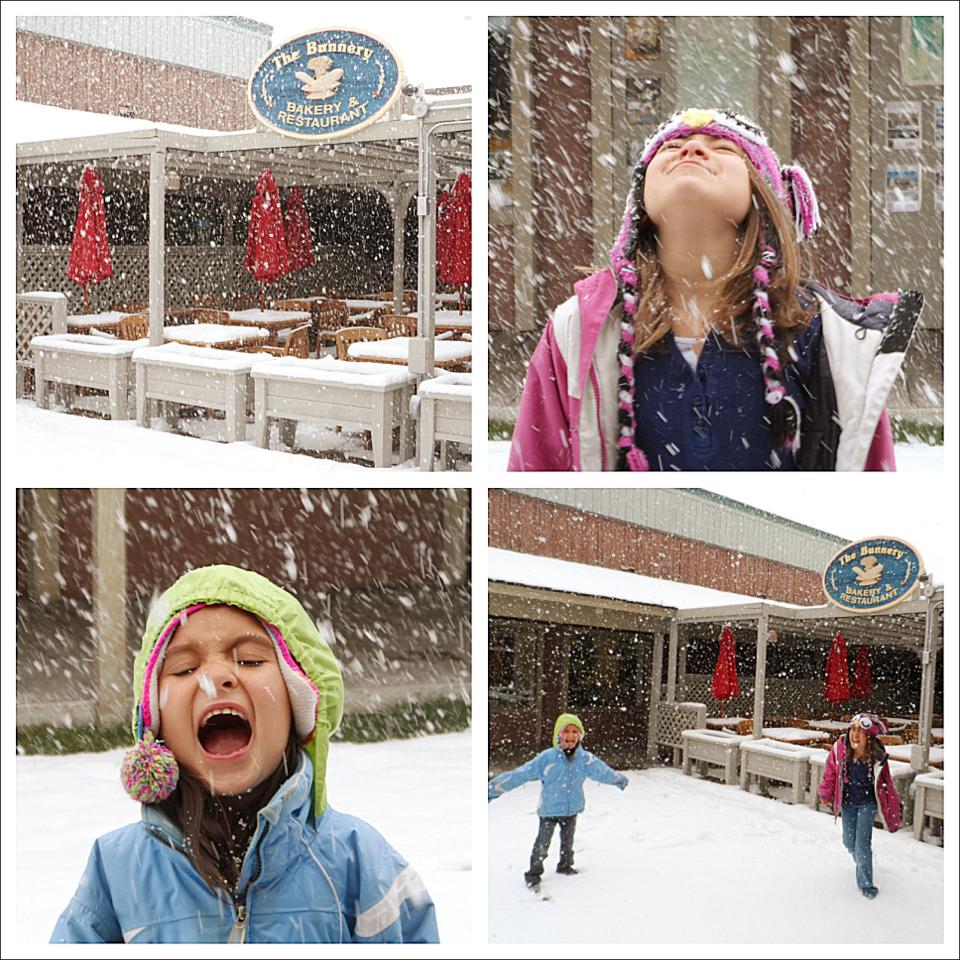 Homeschool Travel Snowing Jackson Hole