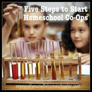 Five Steps to Start a Homeschool Co-Op