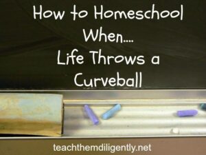 How to Homeschool When...