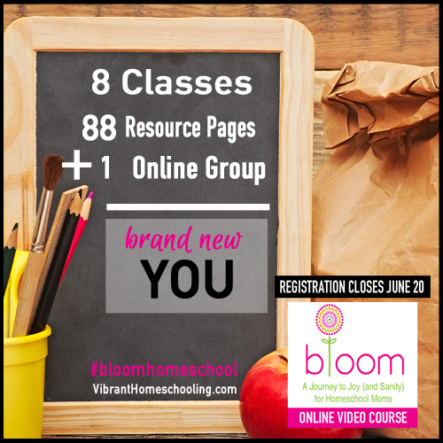 8-classes-88-pages-of-resources-online-community-new-mom