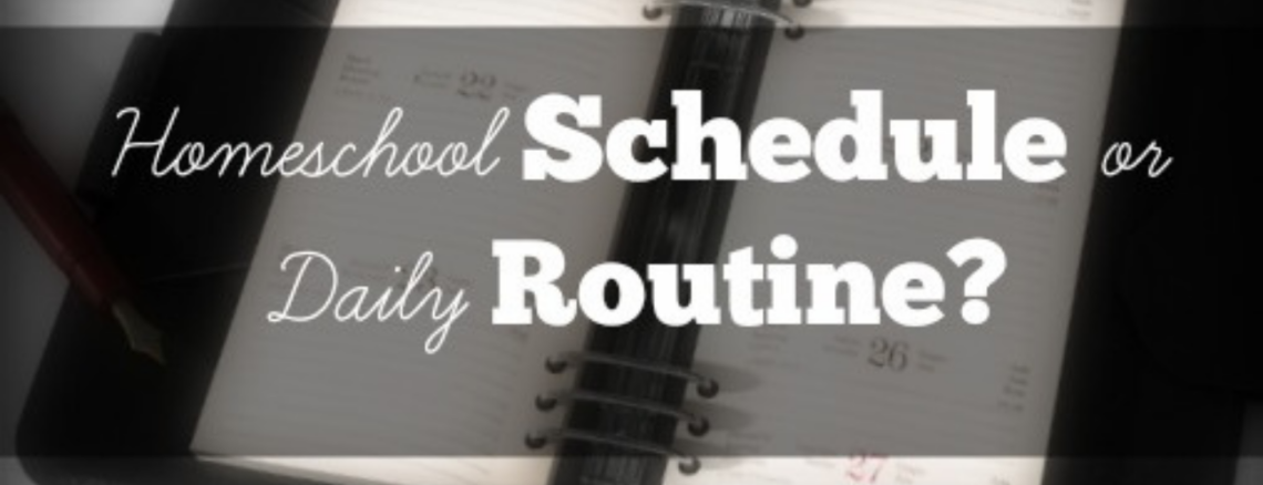 Why a Daily Homeschool Routine Works for Us