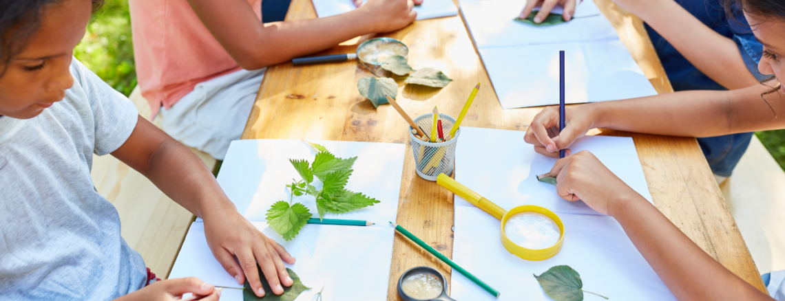 Looking for homeschool community? Start a simple homeschool co-op!