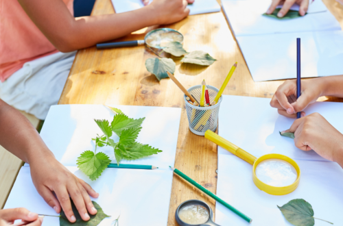 Looking for homeschool community? Start a simple homeschool co-op!